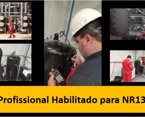 profissional habilitado para nr13